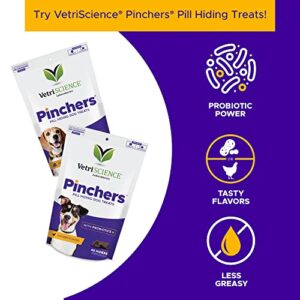 VetriScience Laboratories Cardio Strength, 90 Capsules - Supports Blood Flow, Immune System and Energy Levels for Dogs and Cats - Image 2